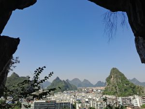 这是与P81003-103921相关的图片，-