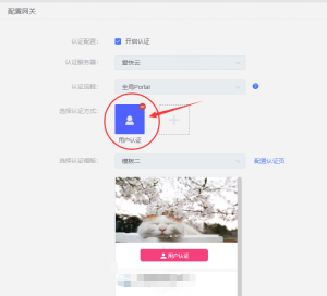 这是与2-1相关的图片，-
