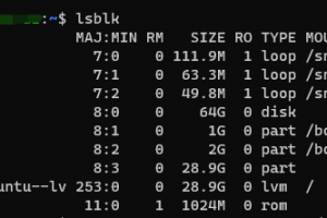 配置PVE虚拟机的时候，硬盘空间分配小了（客户机系统：Ubuntu Server）缩略图