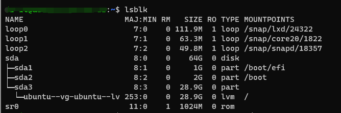 配置PVE虚拟机的时候，硬盘空间分配小了（客户机系统：Ubuntu Server）插图