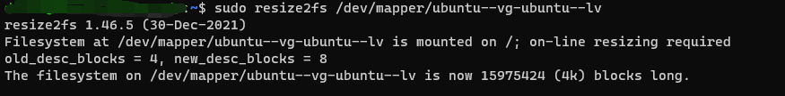 配置PVE虚拟机的时候，硬盘空间分配小了（客户机系统：Ubuntu Server）插图11