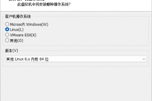 VMware Workstation 与 RHEL 及其衍生版系统兼容性问题后续,新建虚拟机 300x200.png