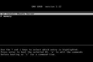 这是与系统安装教程：Ubuntu Server 24.04 LTS 安装过程简介相关的特色图片，IT技术、软件-