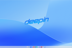 这是与系统安装教程：Deepin 25.0.1 系统安装过程简介相关的特色图片，IT技术、软件-