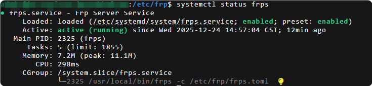 使用 frp 在阿里云服务器中部署内网穿透服务-网络、软件