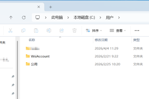 wsiaccount