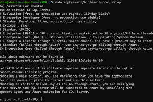 Ubuntu版SQL Server安装