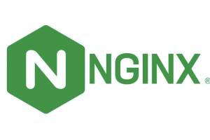 nginx